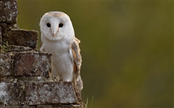 We have a great environment